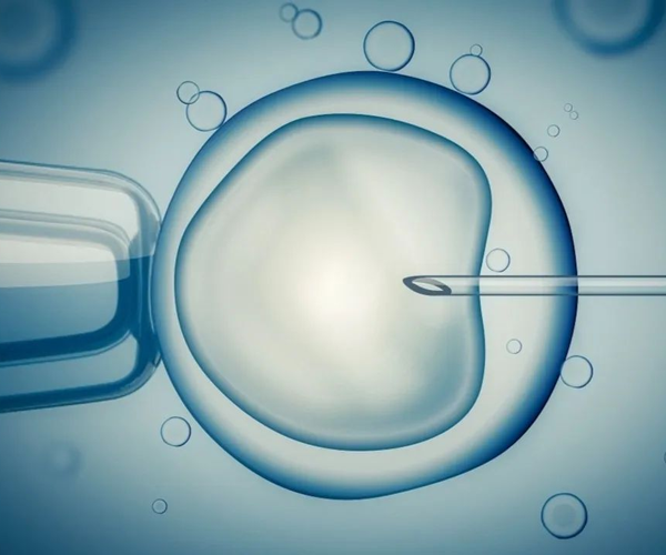 อุปกรณ์สิ้นเปลืองเพื่อการสืบพันธุ์แบบใช้แล้วทิ้ง - จานเพาะเชื้อ IVF