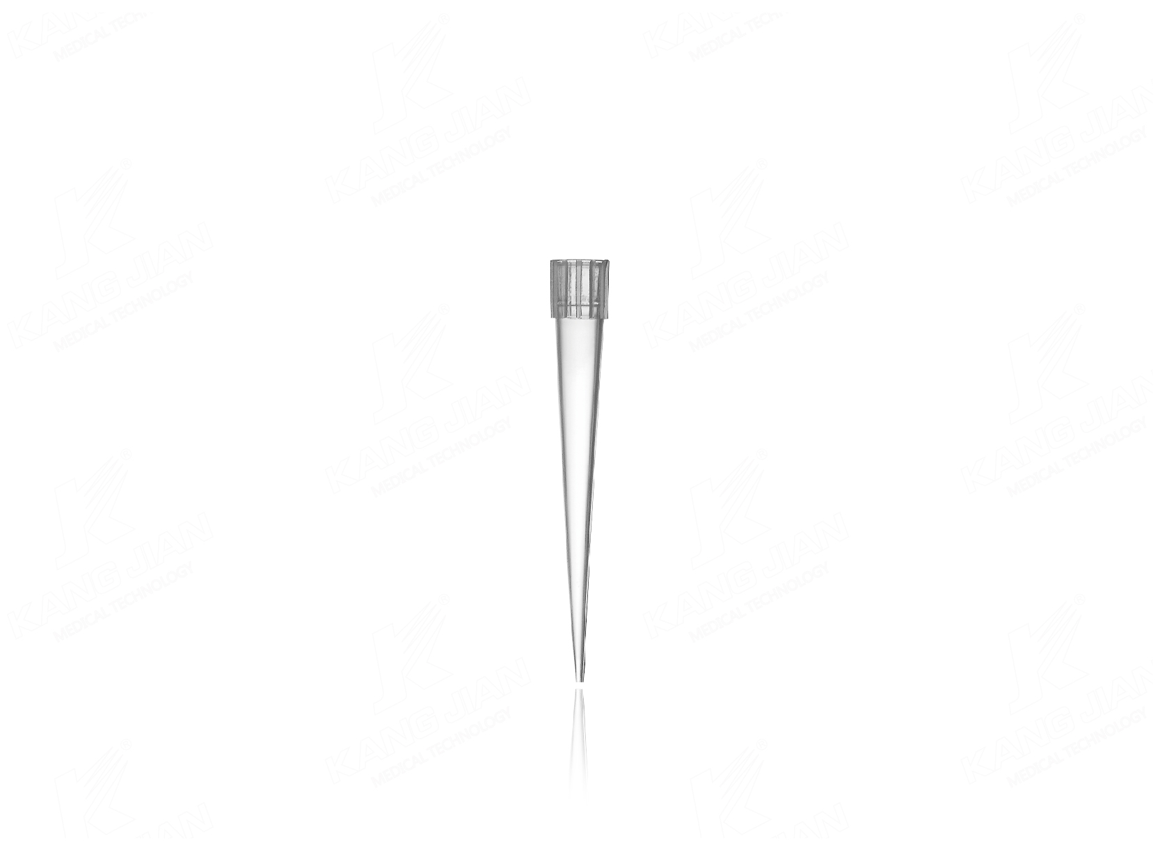 ปิเปตทิป 250&mu;L